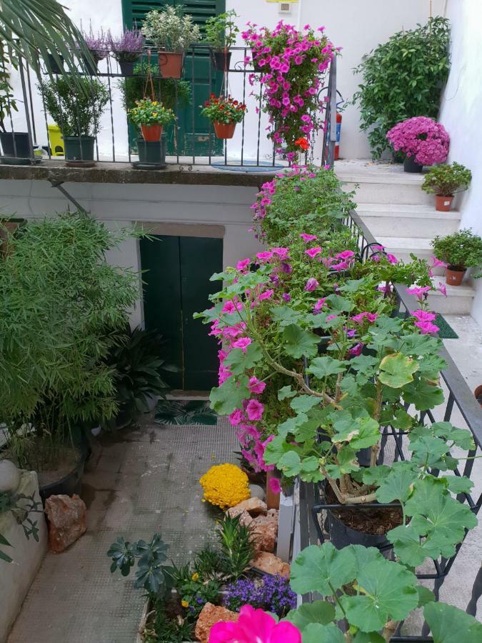 La Casa Di Daniele Affittacamere