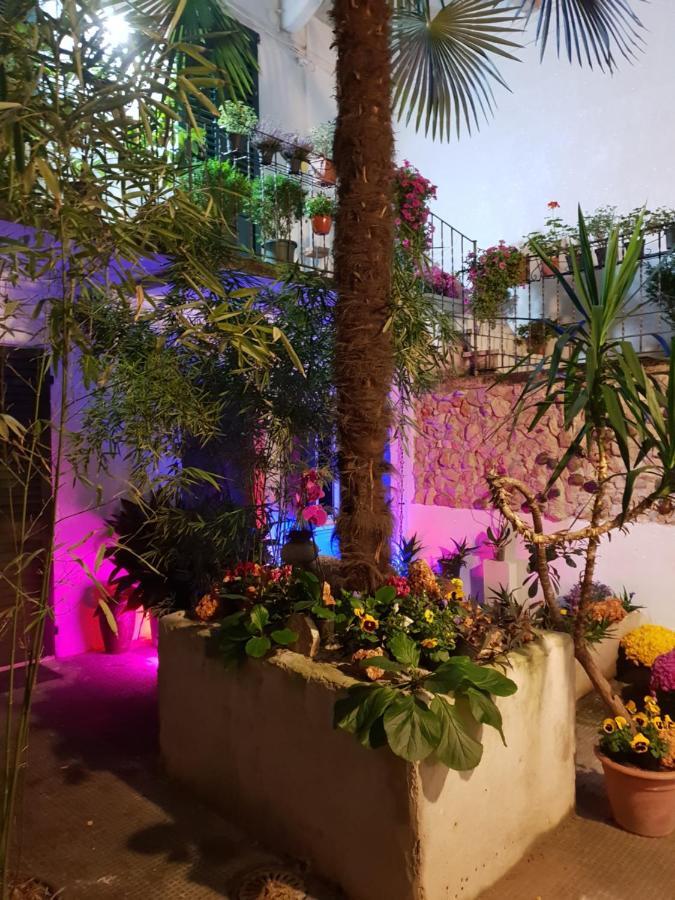 La Casa Di Daniele Affittacamere
